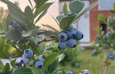 Apartamenty i pokoje nadmorskie - Owocowe Wzgórze - Foto 42