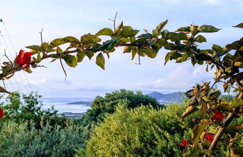 Casa della Balena - Foto 20