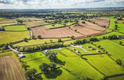 Rowan Lodge - Photo 12