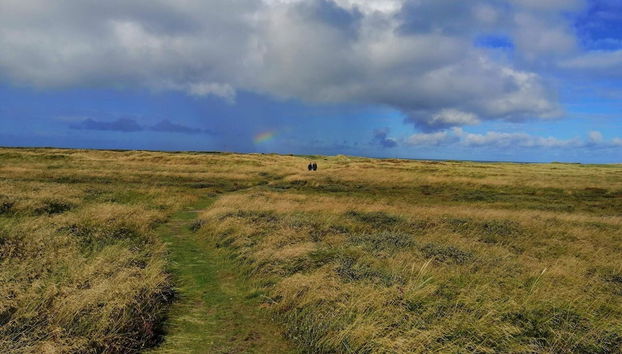 Elegant Holiday Home in Hanstholm near Sea - Foto 5