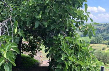 Casa di Romano - La Loggia - Foto 39