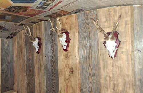 Waldidylle - Bungalows an der Talsperre Kriebstein - Foto 22