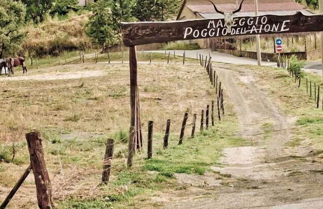 Country House Poggio Aione - Foto 73