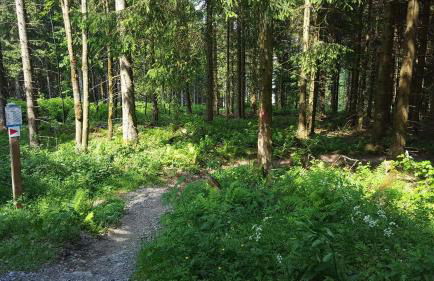 Ferienwohnung Little Home in Winterberg-Neuastenberg - Foto 33