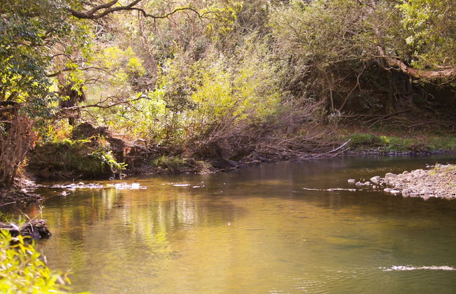 Orere Point TOP 10 Holiday Park - Foto 23