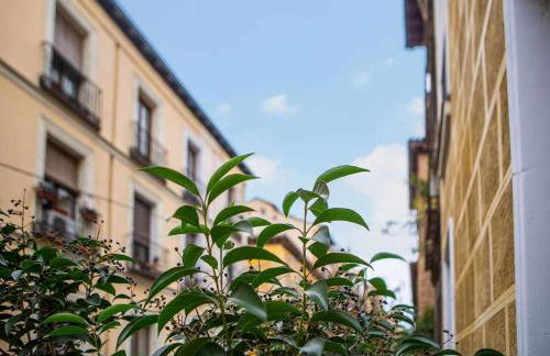 Calle Huertas Corazón by RegalateMadrid - Foto 7