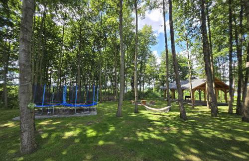 Domki Pod Olchowym Dachem Lubie - Foto 57