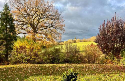 SONNENWEG Designwohnung mit Gartenblick - Foto 11