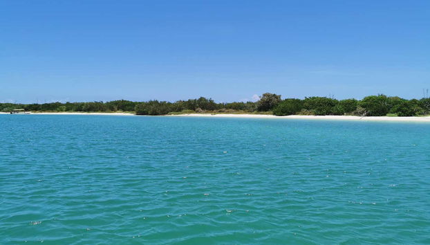 Las Coloradas Natural Park Trip - Foto 3