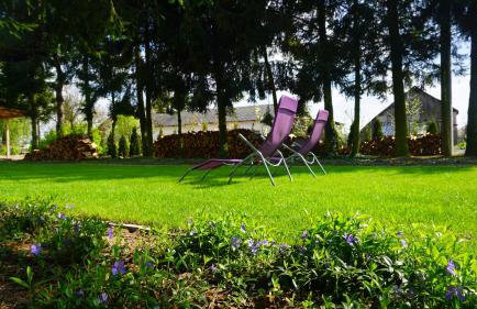 Świerkowe Zacisze Nałęczów - Foto 25