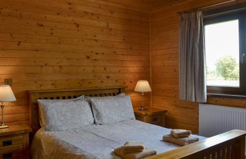 Dartmoor - Uk12537 - Foto 7