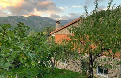 Casa Balta - Foto 59