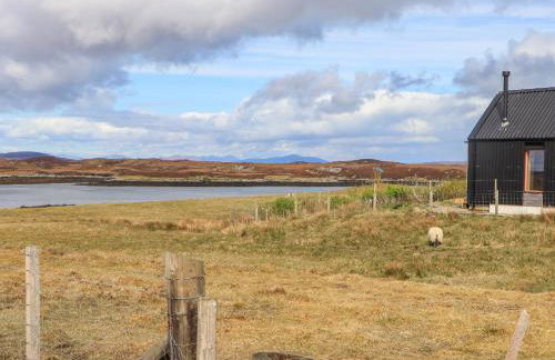 North Light Studio - Foto 2