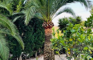 Villa Almoradi - Beautiful Villa with Private Pool Moraira - Foto 14