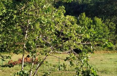 Il Giardino di Marzo Guest House - Foto 40