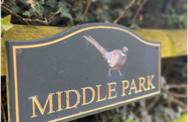 Palm Cottage - Foto 23