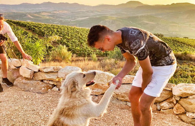 Visita alla cantina Quattrocieli - Foto 7