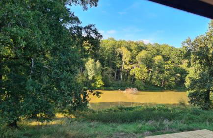 Domaine des Aulnaies - Beauval - Mareuil sur Cher - Foto 22