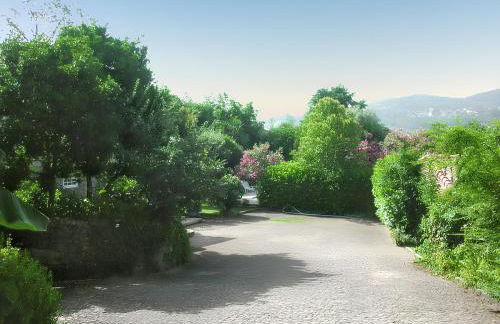 Charming villa with mountain view in Pedraça, pool - Foto 17
