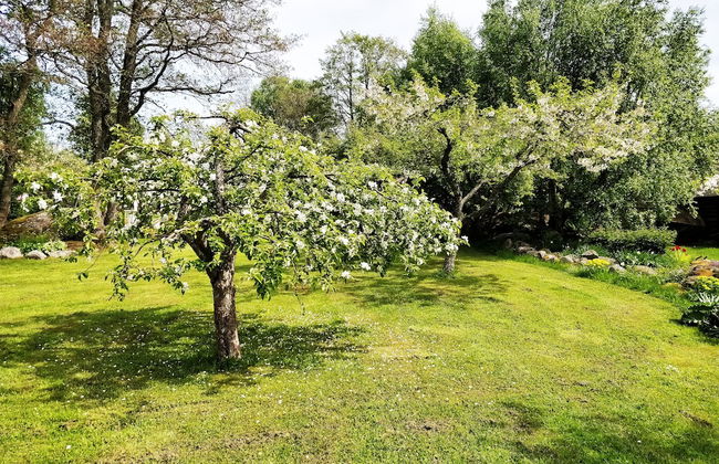 Beautiful Cottage in Kaberneeme - Foto 16