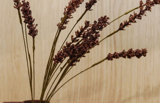 Wyspa Solna Lux Apartment by Renters - Foto 63