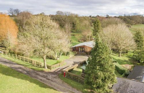 Piglets Place - Photo 21