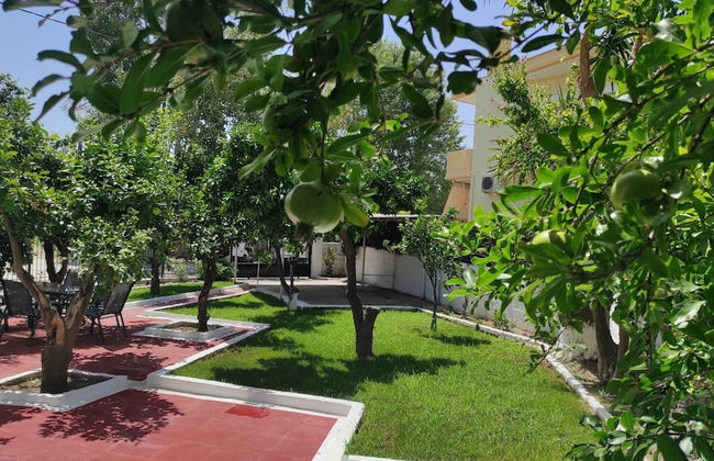 City Apartment w 3 BR Spacious Yard - Photo 16