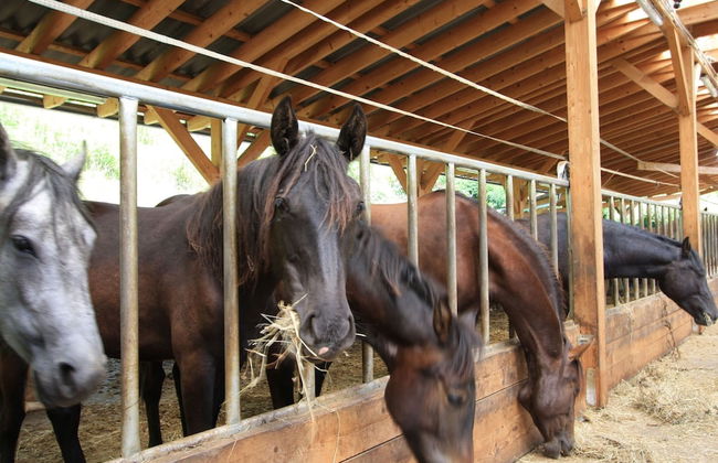 Chalet in Liebenfels Near ski Area - Foto 28