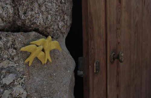 Bosque dos Amieiros - Foto 55