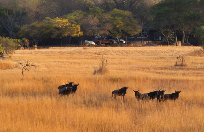 AtNature Luxury Self Catering Cottages - Foto 39