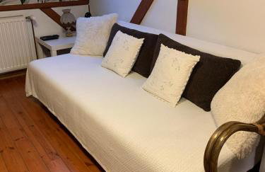 Noclegi Zielona Gęś - Foto 5