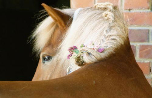 Eichenhof Kalletal - Photo 6