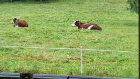 Les Chalets du Petit Châtel - Foto 4