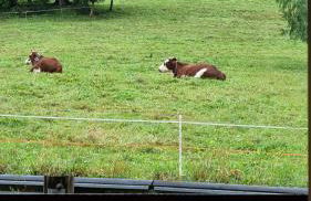 Les Chalets du Petit Châtel - Foto 4