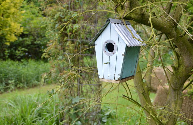 Villa in Vessem Near Eindhoven - Foto 16