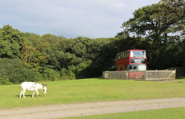 Fosfelle Cottages - Foto 38