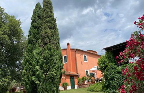 Agriturismo Podere Marchiano - Foto 57