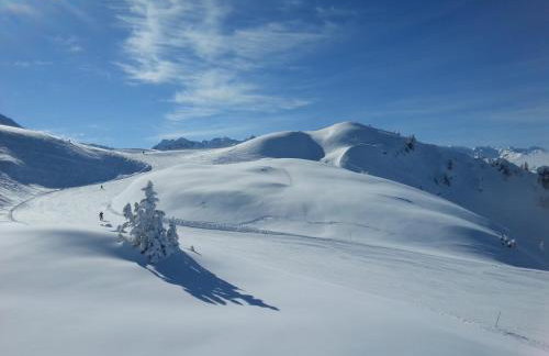 Appartements Le Clos des Gentianes - Foto 41