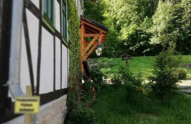 Forest Guest House - Foto 4