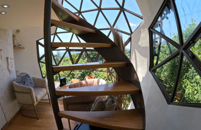 Bosque Geométrico - Foto 9