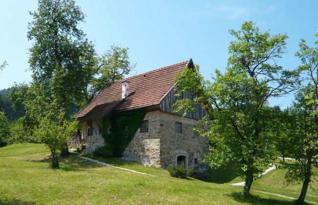 Lehner im Wald - Foto 23