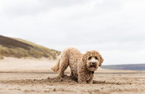2 Bed in Croyde oc-18lead - Foto 15