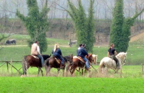 Holiday Villa in Sabina with Private Pool - Foto 59