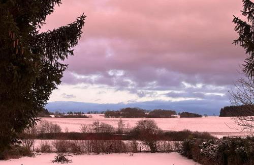 Eifel Moments - Photo 35