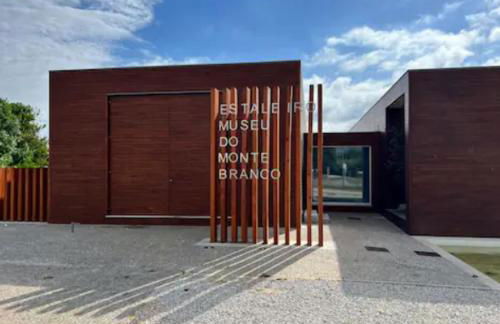 O CANTINHO DA RIA - JACUZZI with water at 35 degrees and POOL - Foto 38