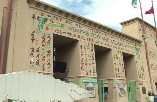 Cozy Delightful Private Studio near Rhodes College, Shuttle, & Vehicle Rental - Foto 31