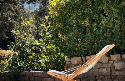 La Maison des Curieux - Foto 16