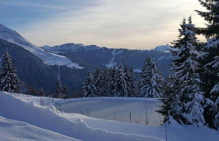Résidence Julianna , trajets remontées mécaniques , livraison viennoiseries, piscine couverte - Foto 62