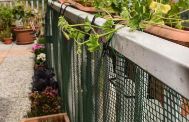 Casa di Spino - Foto 29