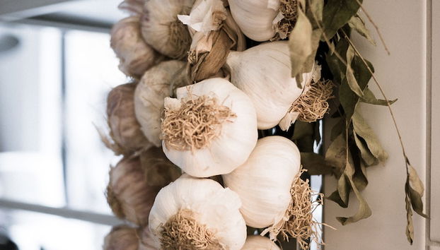 Cocina básica privada